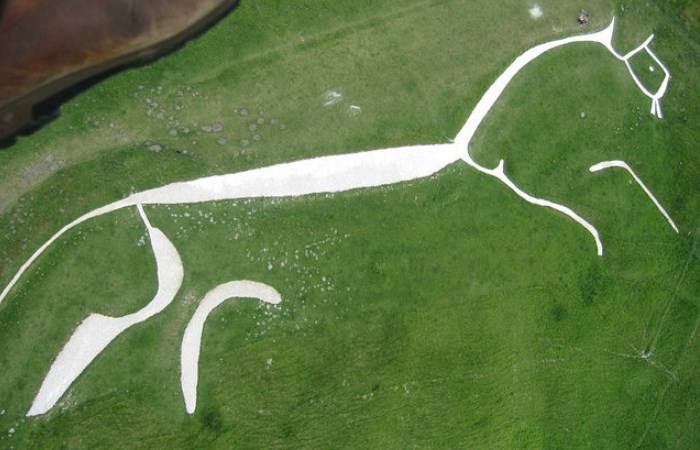 Рисунок белой лошади с высоты. Фото: tonkosti.ru