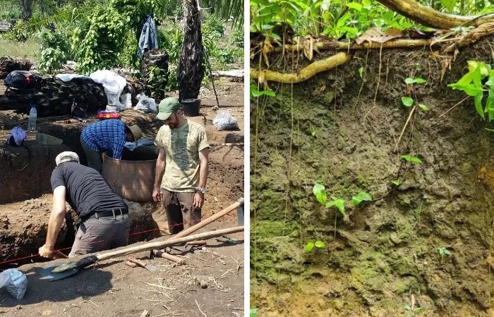 Исследования почвы в бассейне Амазонки