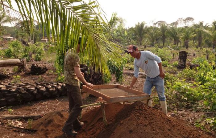 В бассейне Амазонки до сих пор используют темные почвы для земледелия / Фото: bbc.com