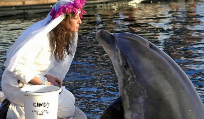 Свадьба с дельфином. / ФОТО:https://dzen.ru