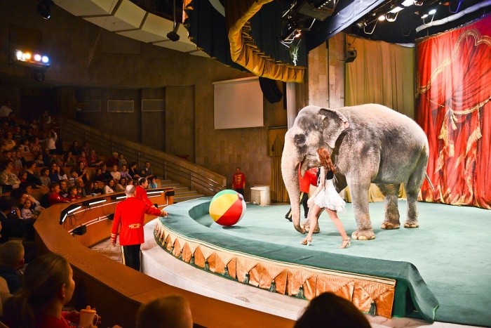 Уголок Дедушки Дурова Уголок Дедушки Дурова