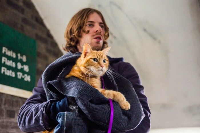 «Уличный кот по кличке Боб». «Уличный кот по кличке Боб».