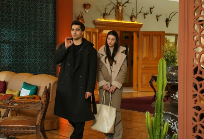 «Зимородок».