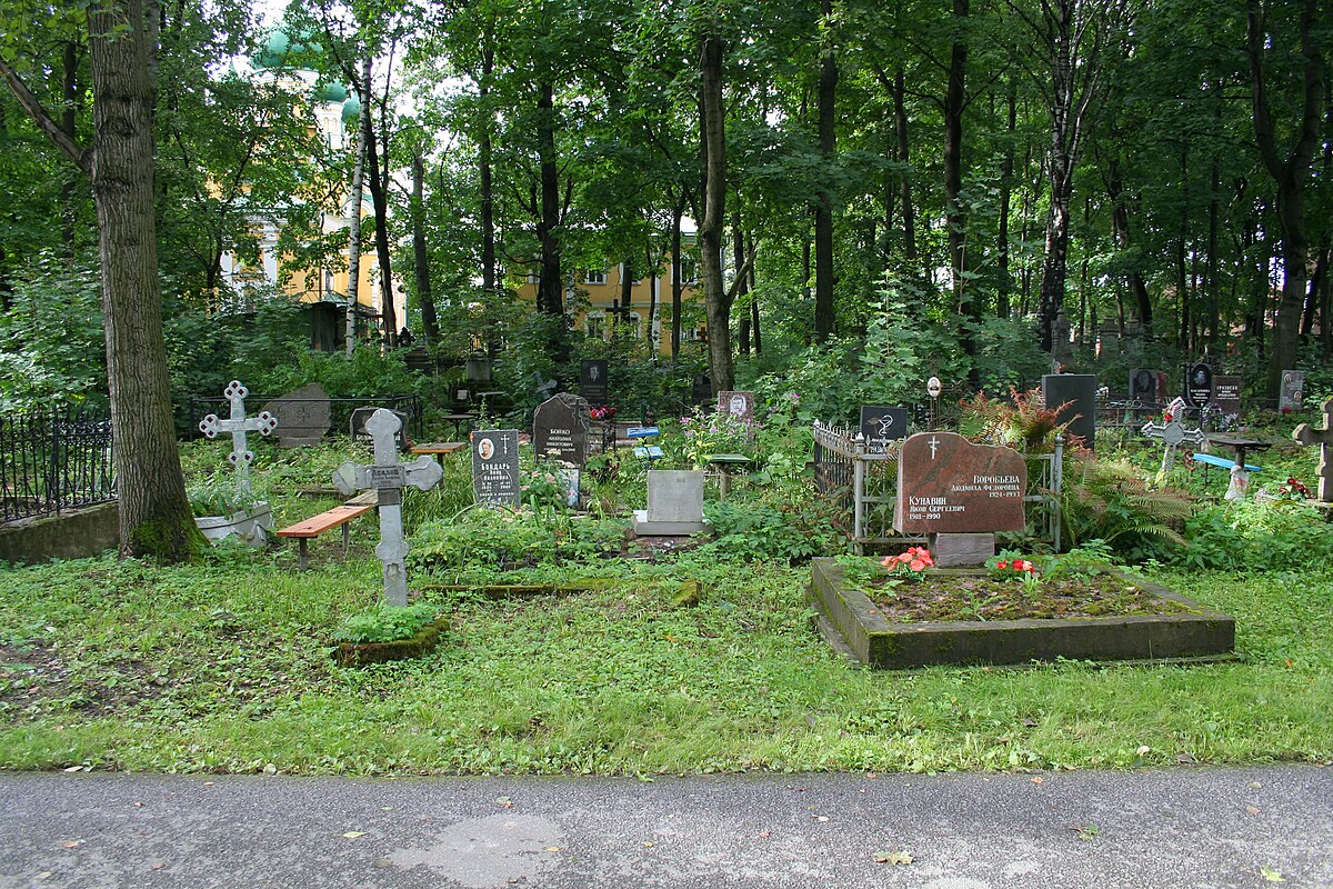 Вид на Волковское кладбище. Вид на Волковское кладбище.