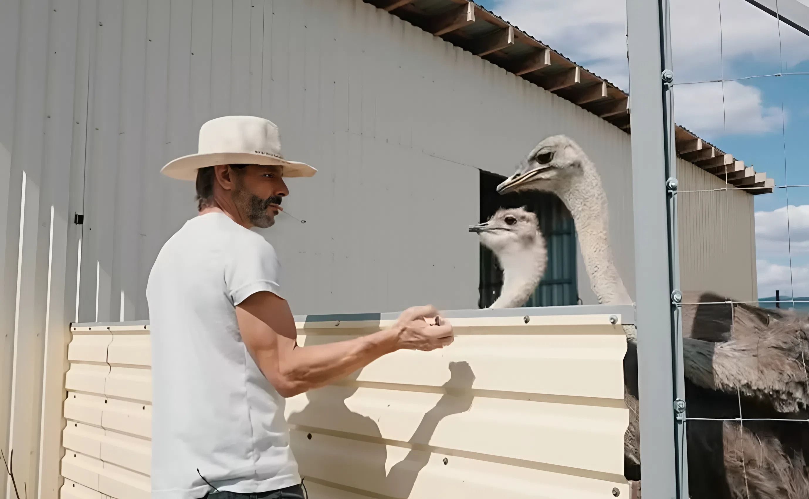 Сандро Фонтана