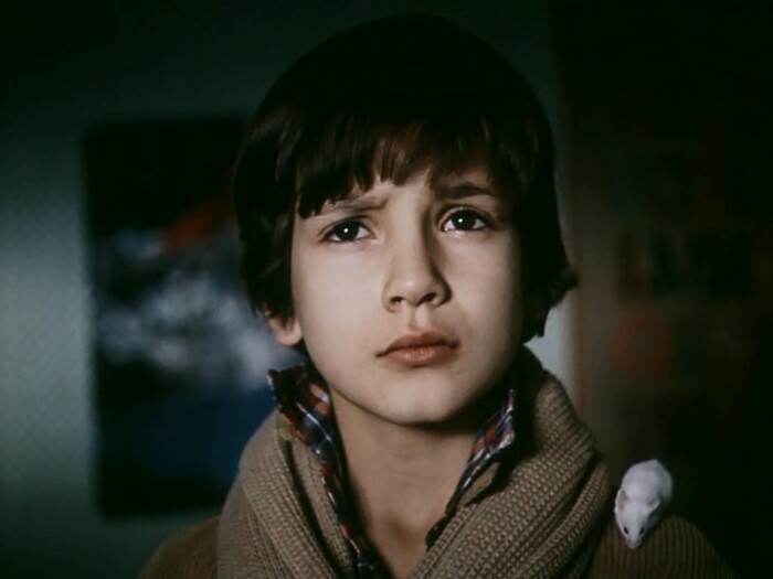 Егор Дружинин в фильме «Каникулы Петрова и Васечкина, обыкновенные и невероятные».