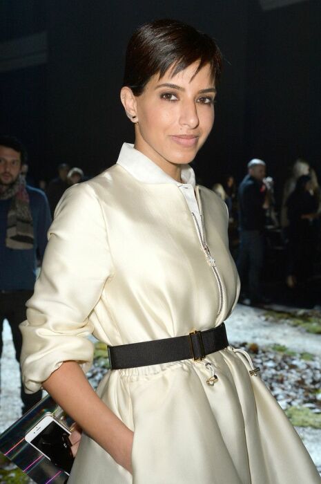 Дина Абдулазиз. Дина Абдулазиз.