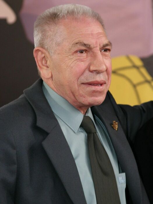 Владимир Толоконников. Владимир Толоконников.