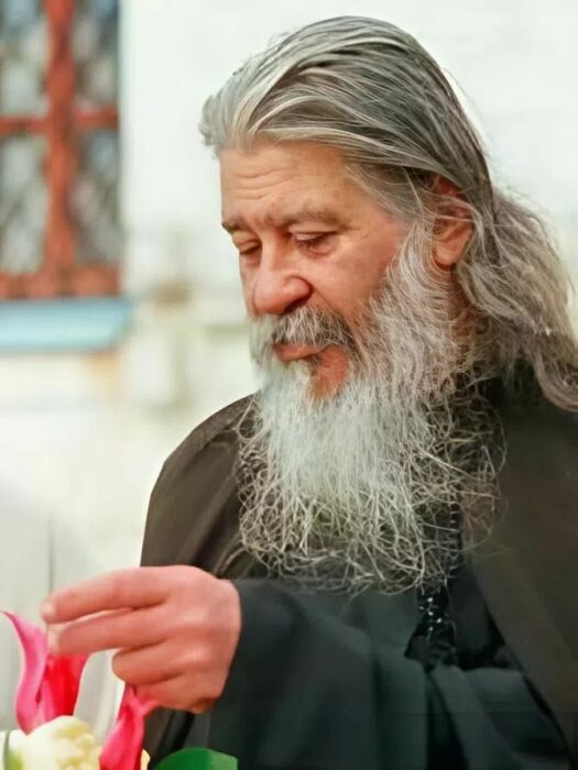 Отец Силуан. Отец Силуан.