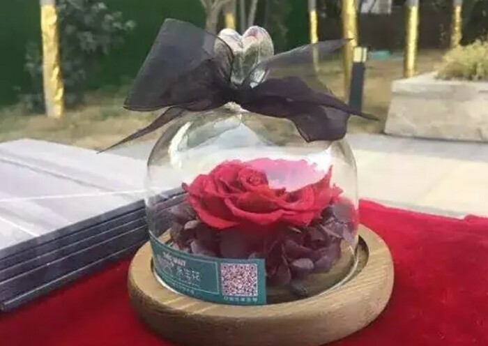 Вечный цветок.