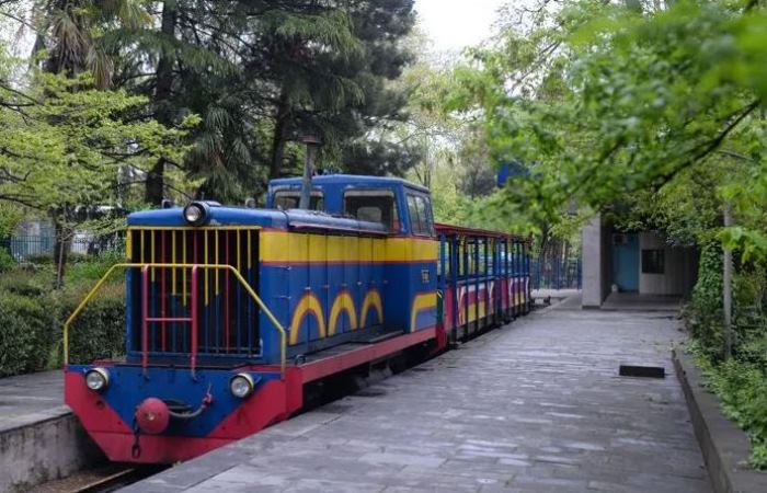 Первая в мире и в СССР детская железная дорога в Тбилиси, восстановленная после войны