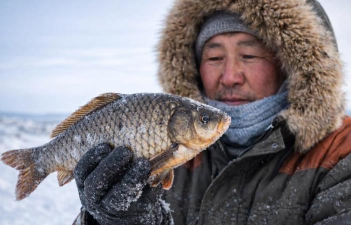 Якутский карась