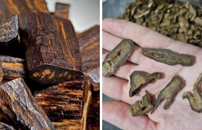 Один грамм кинама стоит от десяти тысяч долларов, и спрос на него есть всегда Один грамм кинама стоит от десяти тысяч долларов, и спрос на него есть всегда