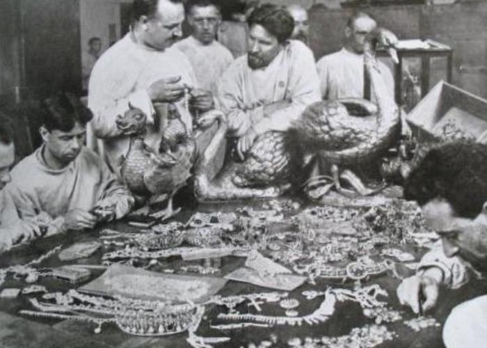 Клад, найденный во дворце Юсуповых под лестницей