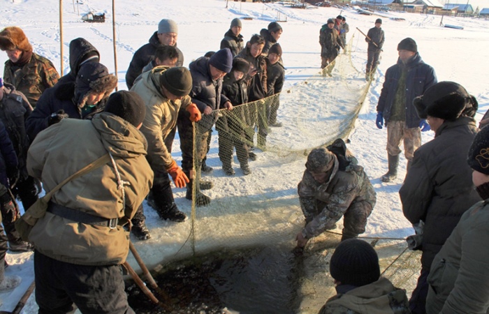 Вытягивание сетей