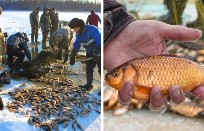 Что такое мунха у якутов, которую устраивают всей деревней: Как зимой на Крайнем Севере ловят рыбу