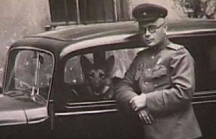 Николай Павленко