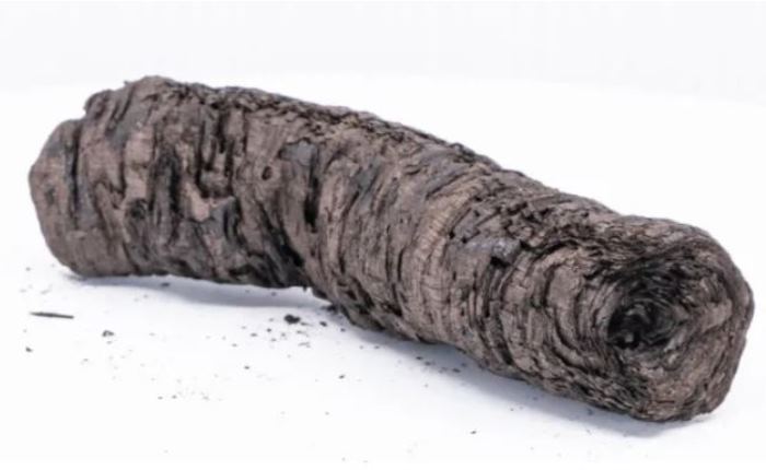 То, что осталось от древнего свитка после извержения Везувия / Фото: bigthink.com