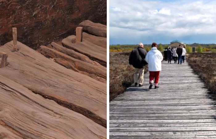 На тропе Корлеа На тропе Корлеа