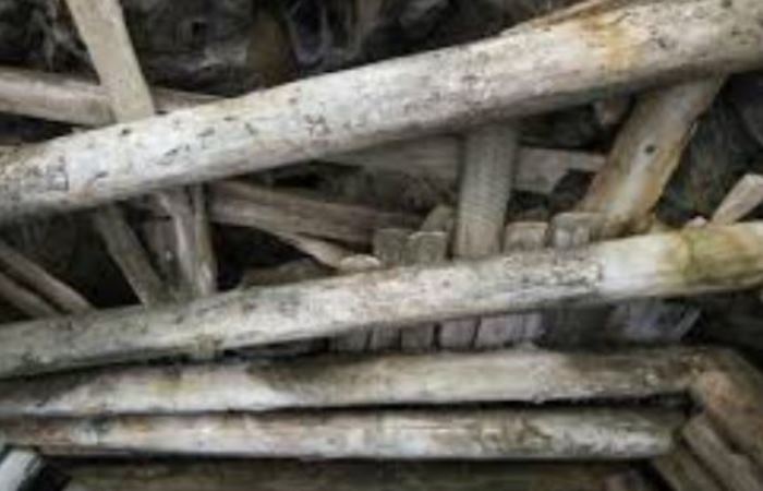 Внутри туннеля