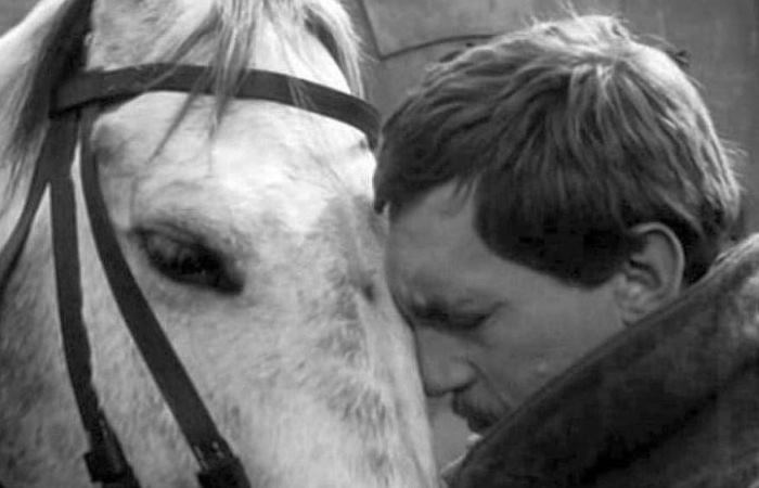 Владимир Высоцкий Владимир Высоцкий