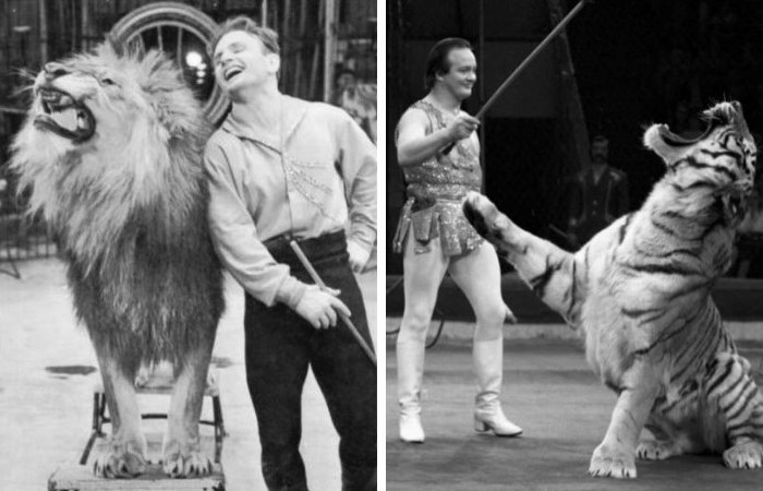 Вальтер и Мстислав Запашные