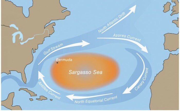 Какие тайны хранит Саргассово море: «Мусорный остров», пропавшие путешественники, блуждающие корабли и не только 