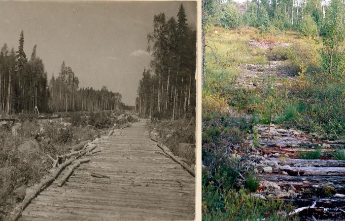 Государева дорога. Государева дорога.