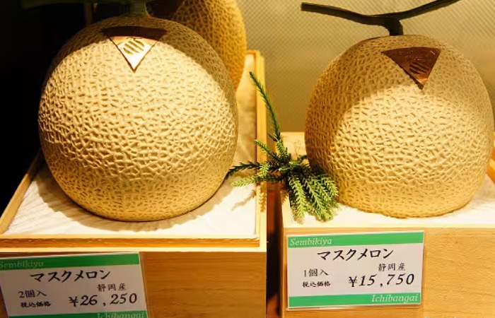 Элитная дыня Юбари.