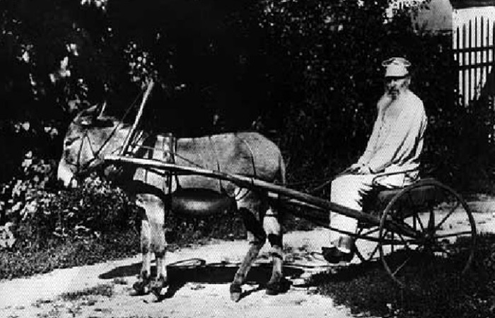 ����� �������� ����, ��������� ����������.