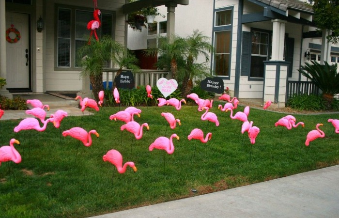 Розовые фламинго для поздравлений и розыгрышей. Розовые фламинго для поздравлений и розыгрышей.