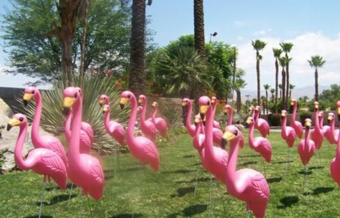 Розовые фламинго. Розовые фламинго.