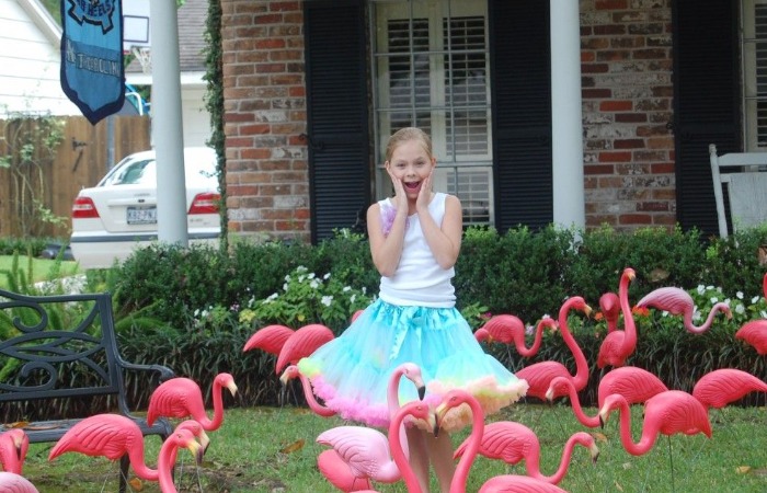 Розовые пластиковые фламинго для радости. Розовые пластиковые фламинго для радости.