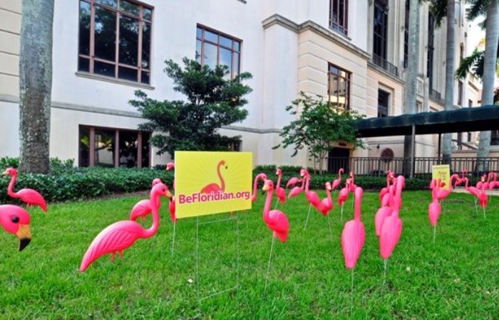 Розовые фламинго для благотворительности - флокинг. Розовые фламинго для благотворительности - флокинг.