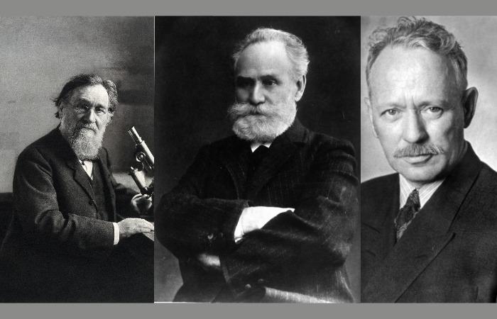 Илья Мечников, Иван Павлов, Михаил Шолохов. Илья Мечников, Иван Павлов, Михаил Шолохов.