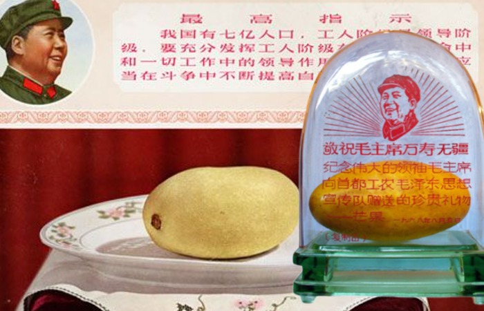 Манго для поклонения в Китае. / Фото: kulturologia.ru