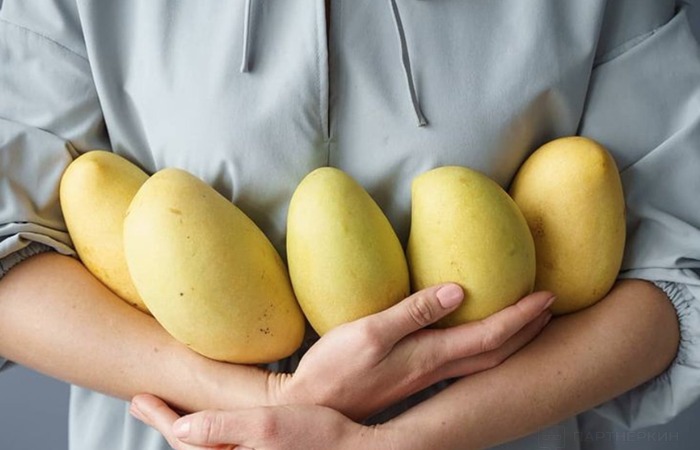 Манго стало обычным экзотическим плодом. / Фото: youdrop.ru