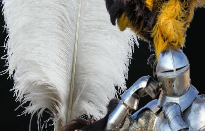 Страусиное перо имеет оригинальную структуру и значение.