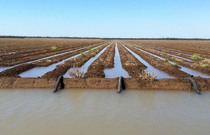 Засушливые регионы спасали за счет полива из каналов. 