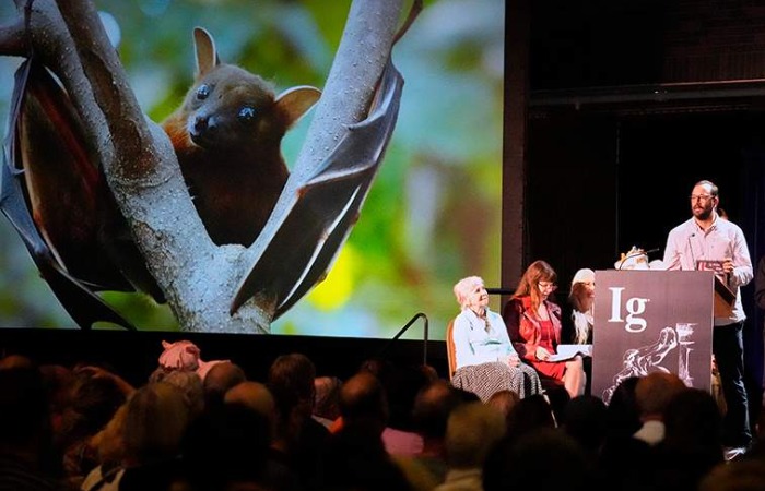 Шнобелевская премия за летучих мышей. Шнобелевская премия за летучих мышей.