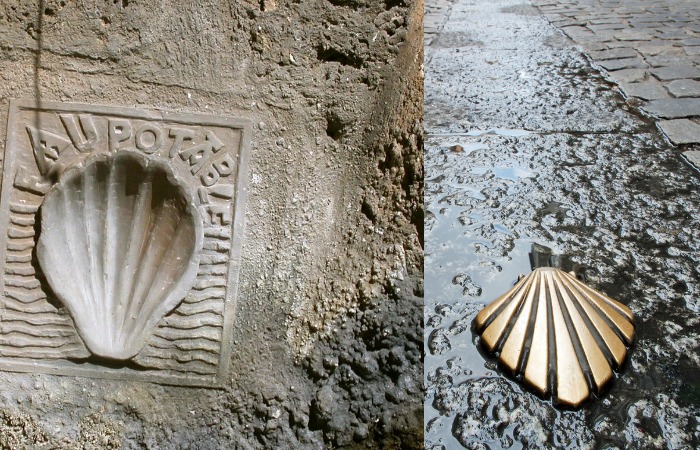 Рисунок ракушки двустворчатой как знак пилигрима.