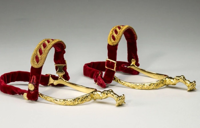 Шпоры королевские. / Фото: nbcnews.com