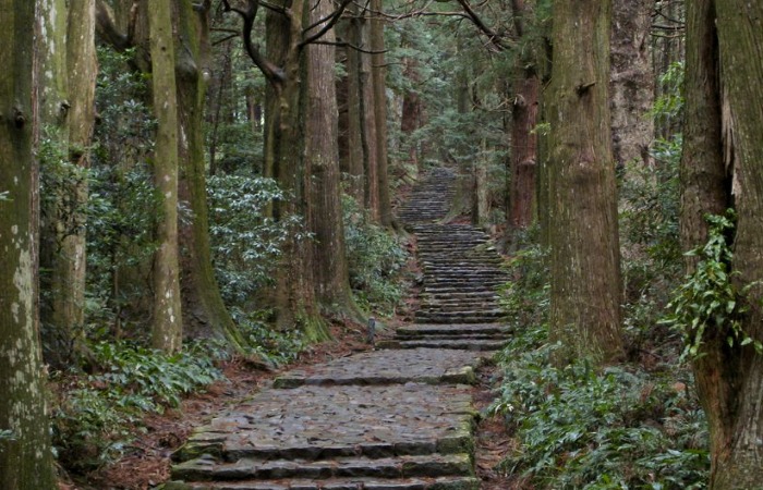 Тропа пилигримов в Японии - Кумано-кодо.