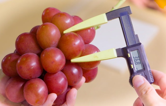 Каждая ягода должна быть определенного размера.