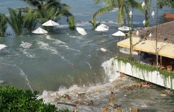 Смертельное цунами 2004 года.