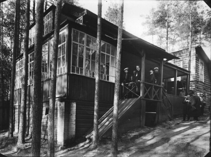 Место убийства в Озерках. Место убийства в Озерках.