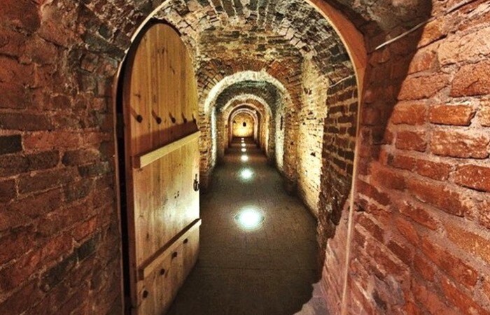 Застенки Тайной канцелярии манили юного Шешковского.