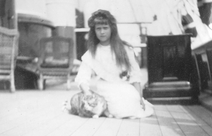 Тот самый корабельный кот.