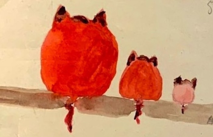 Котики из письма учителю русского языка Петру Васильевичу Петрову.