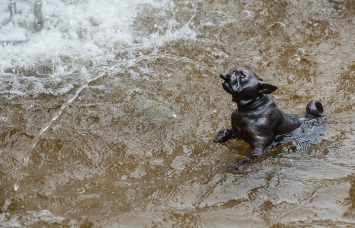 Теперь бронзовая Фаворитка гоняет уток в фонтане Петергофа.